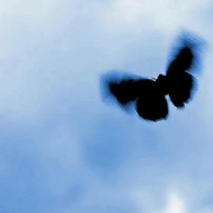 国产福利姬在线观看
